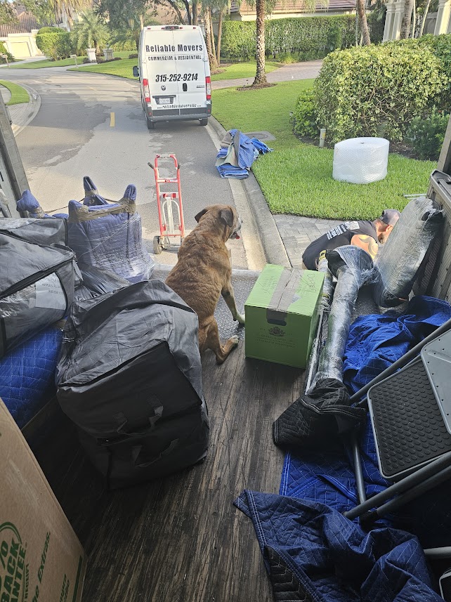 Gino supervising Reliable Movers owners Jen and Mike during an interstate moving truck unload in Naples Florida on October 8 2026